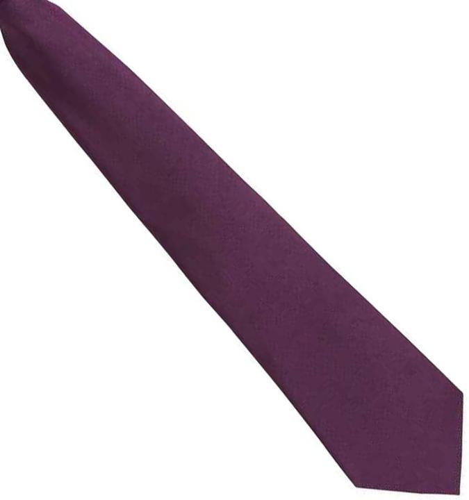 Actual product image Premier ClipOn tie different colours