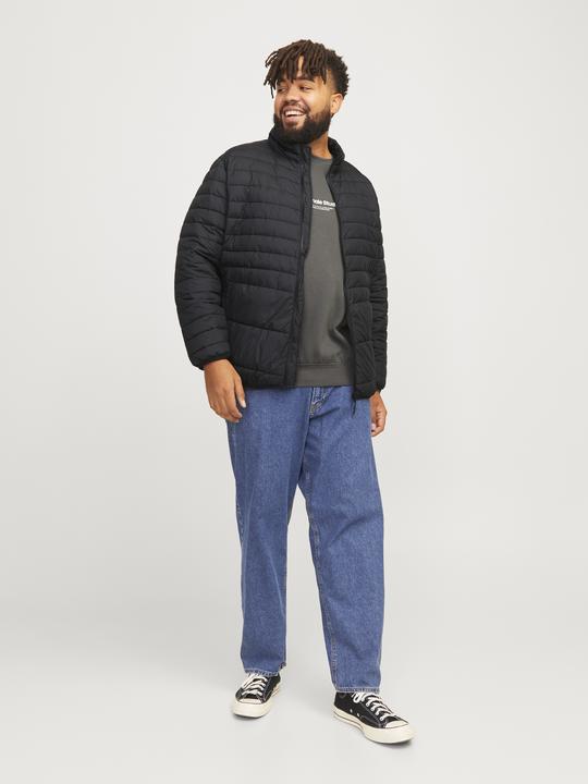 Image du produit Jack & Jones Jjestate Packable Puffer Collar Noos Pls (4XL)