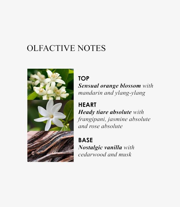 Produktbild Molton Brown Flora Luminare (Flüssigseife, 300 ml)