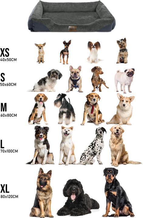 Actual product image Aspero Hundebett Hanko (Dog)