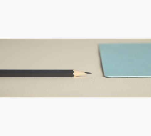 Actual product image Exacompta Desk pad (35 x 60 cm)