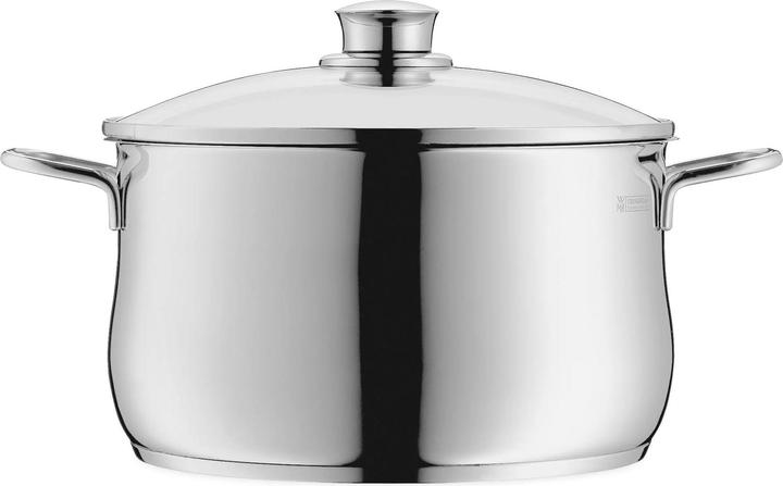 WMF Kochtopf Fleischtopf Induktion 24cm Glasdeckel Diadem Plus Edelstahl 18/10 (24 cm, Kochtopf, Edelstahl)