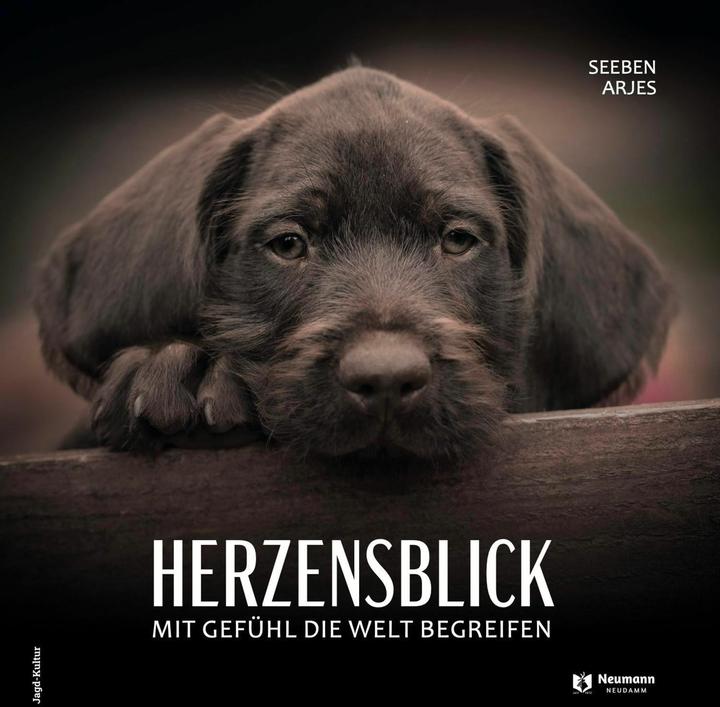 Produktbild Herzensblick (Deutsch, Seeben Arjes, 2024)