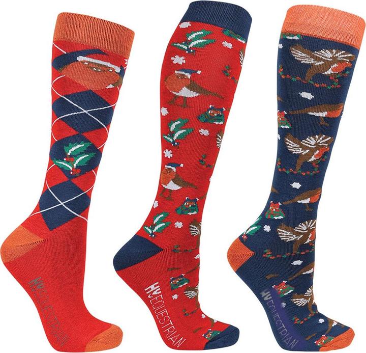Image du produit Hy Fashion - Chaussettes RUBY THE ROBIN - Femme (Lot de 3, 34 - 37)