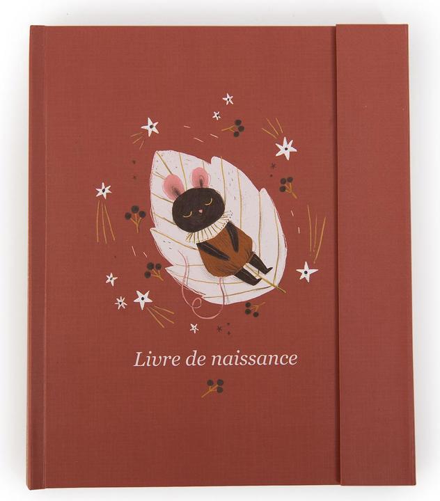 Produktbild Moulin Roty Geburtsbuch