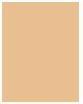 Actual product image Shiseido Synchro Skin Self-Refreshing Custom Finish Powder Foundation (150 Lace)