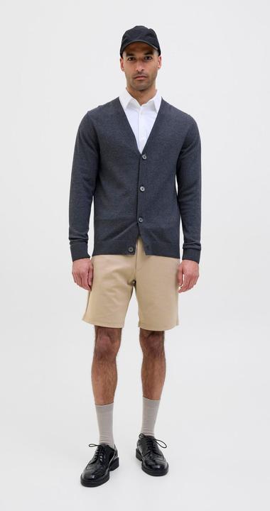 Produktbild Jack & Jones Regular Fit Slim Fit Shorts Slim Fit Shorts (XL)