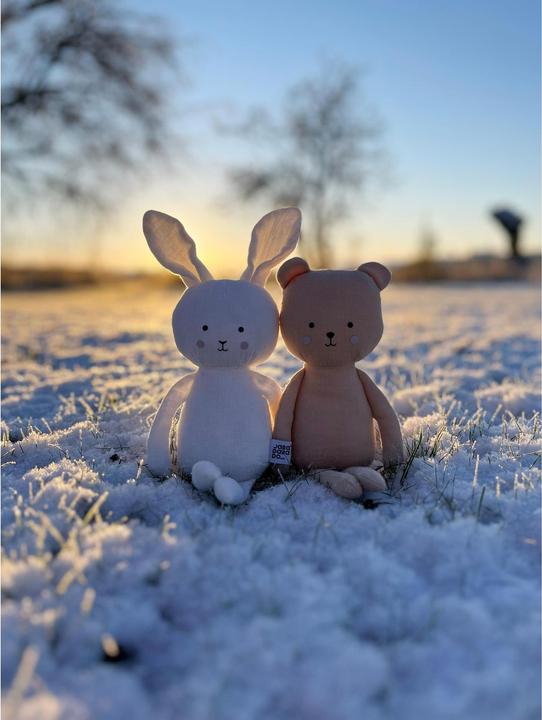 Produktbild Jabadabado JABADABAD GeschenksetBuddy Teddy N0185 (8.50 cm)
