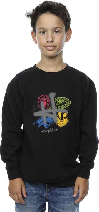 Image du produit - Sweat EMBLEMS H SPRAY - Garçon (140, 146)