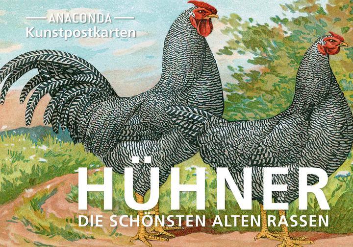 Produktbild Postkarten-Set Hühner (20 Stk.)