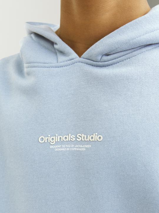 Immagine prodotto Jack & Jones Jorvesterbro Sweat Hood Noos Mni (110)