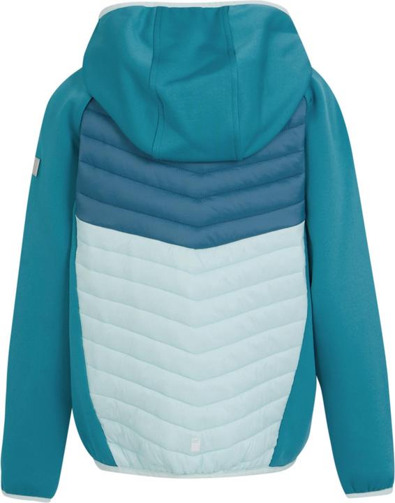 Actual product image Regatta Childrens/Kids Kielder VIII Hybrid Jacket (104)