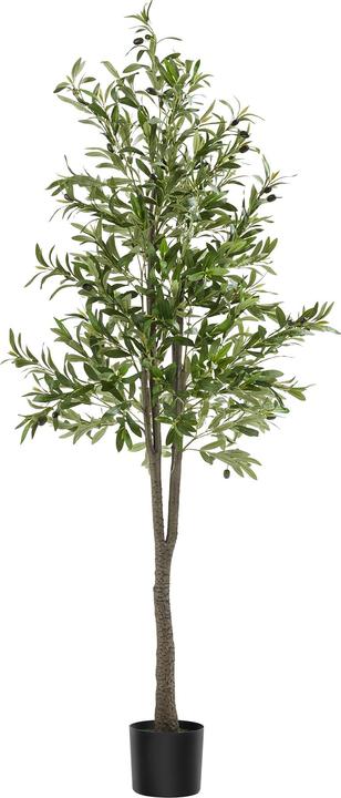 tectake Olivenbaum Oleand (180 cm)