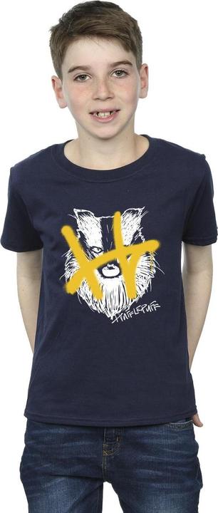 Actual product image Boys Hufflepuff Pop Spray T-Shirt (140, 146)