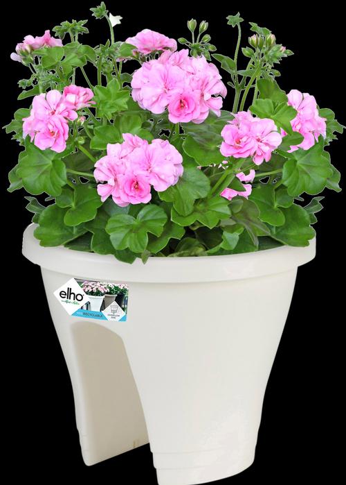 Actual product image Elho corsica (29 cm)