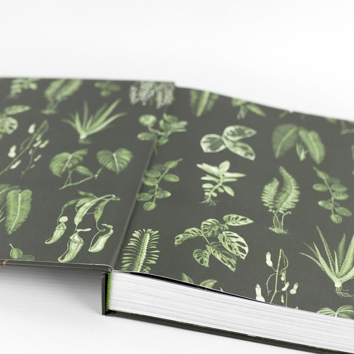 Immagine prodotto Plantopedia (Tedesco, Lauren Camilleri, Sophia Kaplan, 2022)