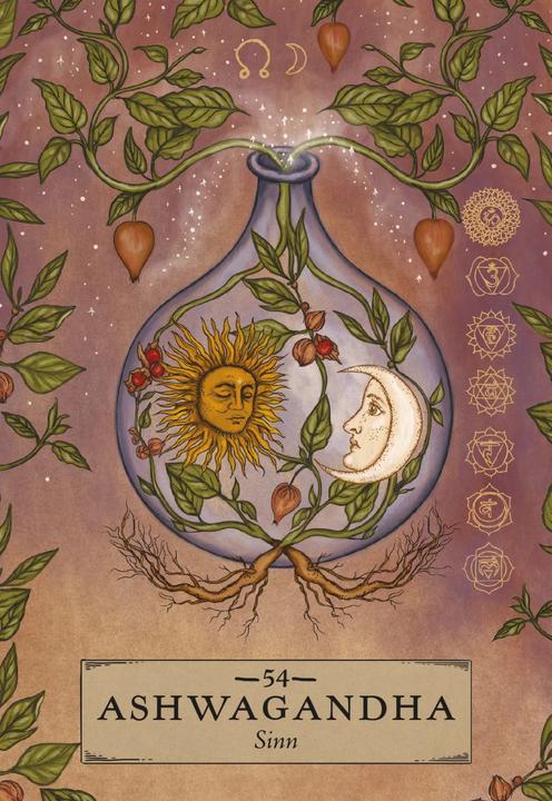 Produktbild Herbal Astrology Orakel: 55 Karten mit Botschaften und Anleitungen (Deutsch, Adriana Ayales, Joséphine Klerks, 2023)