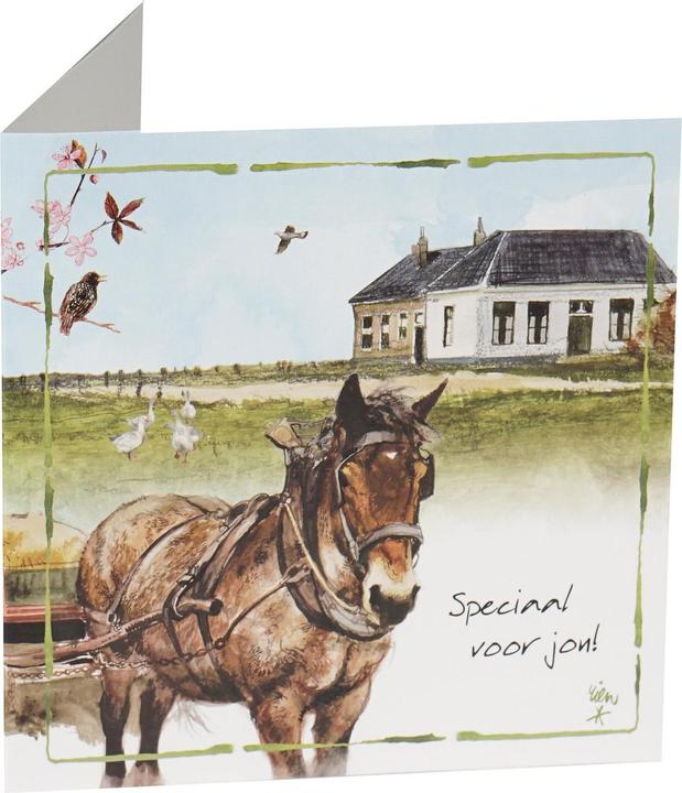 Actual product image Horka Greeting card for horses