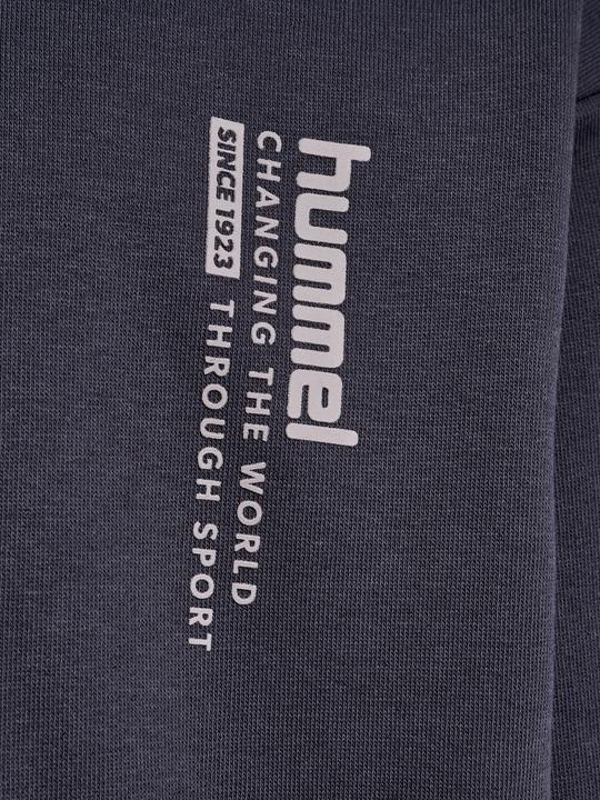 Image du produit hummel hmlDANTE HOODIE (128)