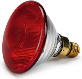 Olba LAMPADA TERMICA A INFRAROSSI PAR38 175