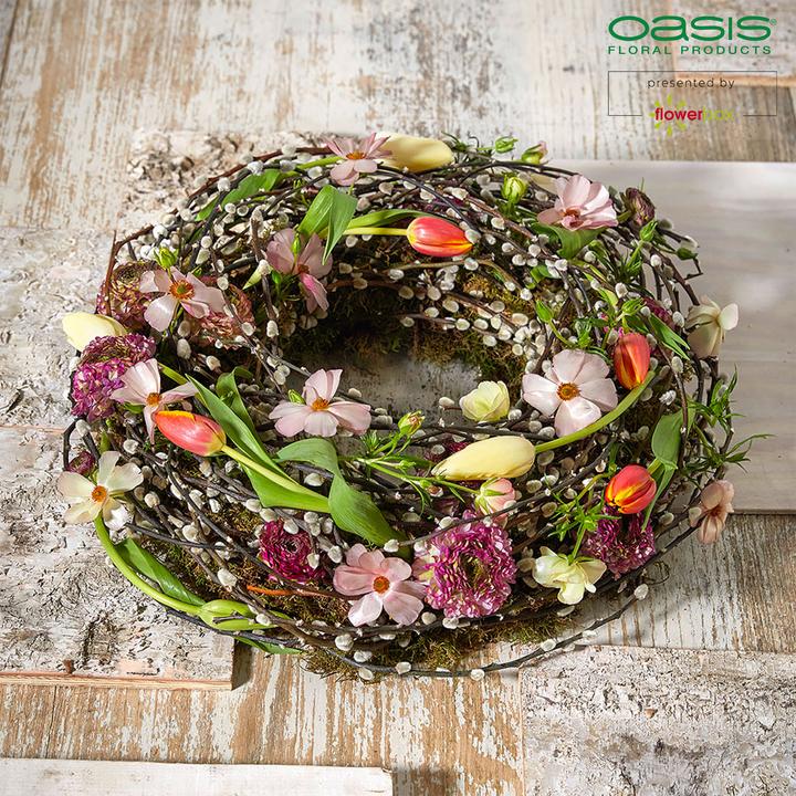 Produktbild Oasis BIOLIT Kranz