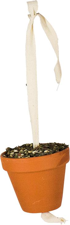 Actual product image JR Farm Clay Pot Large Parakeet + Parrot