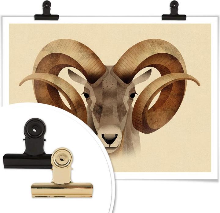Image du produit Trenddeko Urial (50 x 40 cm)