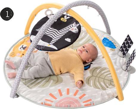 Productafbeelding Taf Toys Savannah