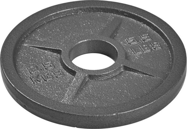 Tanga Sports ® Hantelscheibe Guss
