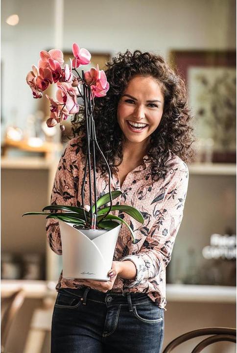 Produktbild Lechuza Orchidea (17.90 cm)