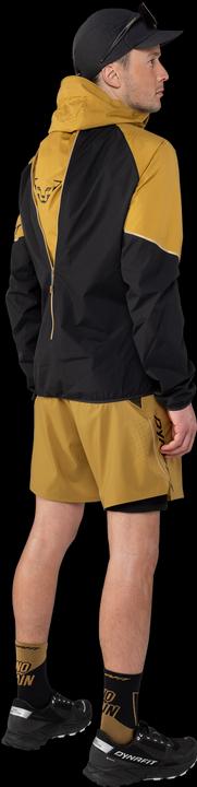 Produktbild Dynafit ALPINE PRO 2/1 SHORTS, Herren (XXL)