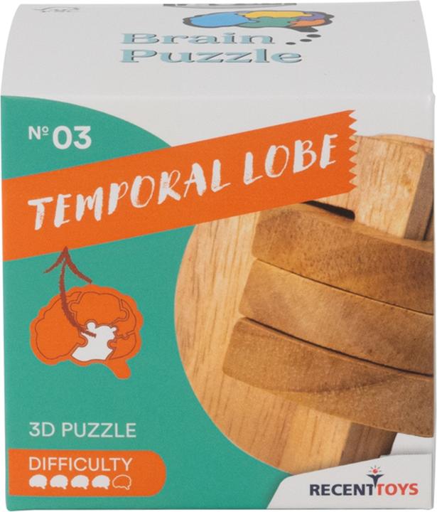 Produktbild Recent Toys Brain Puzzle Nr.3 Temporal Lobe