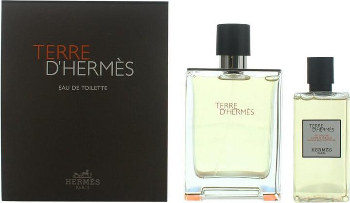 Hermès Terre D' (Eau de Toilette, 100 ml)