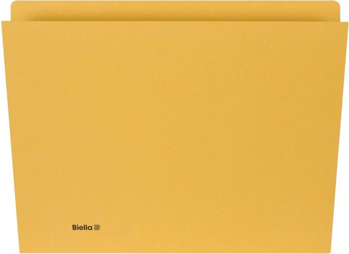 Actual product image Biella Vertical folders (A4, 100 x)