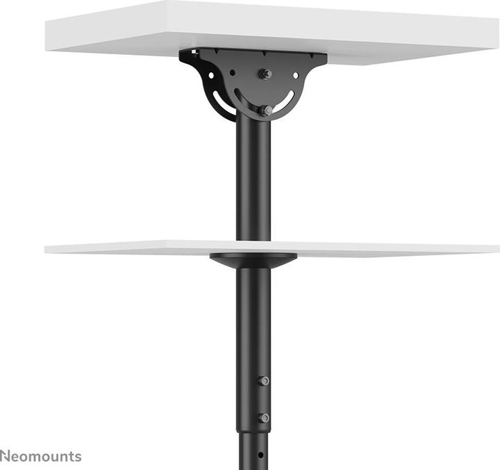 Actual product image Neomounts Ceiling mount (Ceiling, 60")
