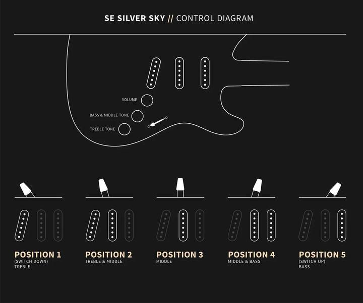Actual product image PRS SE Silver Sky (Electric guitar, Poplar, Rosewood)