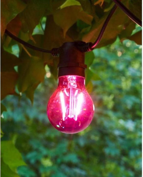Actual product image Sirius Replacement bulb Tobias replacement bulb for light chain, purple (0.10 m)