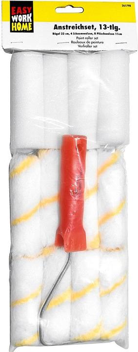 Actual product image Easy Work Wall and varnish paint roller set