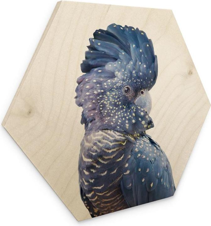 Immagine prodotto Trenddeko Cacatua blu (25 x 22 cm)
