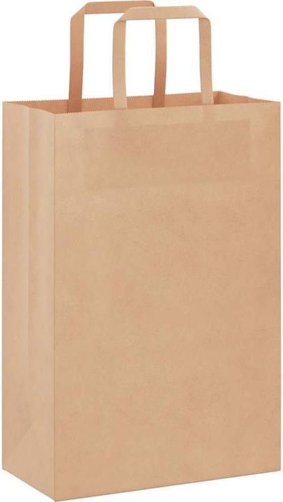 Image du produit VidaXL Sacs en papier kraft 50 pcs. avec anse Marron 21x11x31 cm Sac en papier (Pochette cadeau, 50 x)