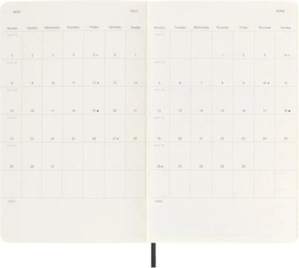Actual product image Moleskine Daily calendar (A5, English)
