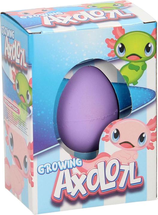 Actual product image Roost Ei mit wachsendem Axolotl