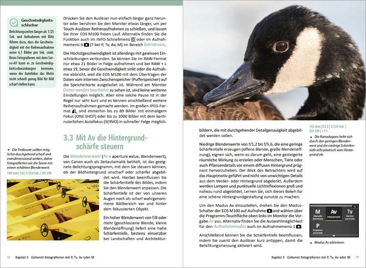 Produktbild Canon EOS M100 - Für bessere Fotos von Anfang an! (Deutsch, Kyra Sänger, Christian Sänger, 2018)
