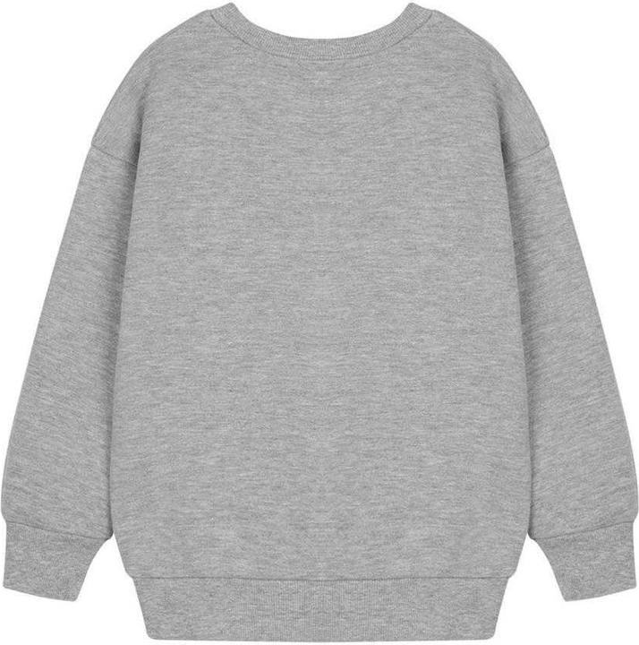 Actual product image Paw Patrol Childrens/Kids Collegiate Sweatshirt (116)