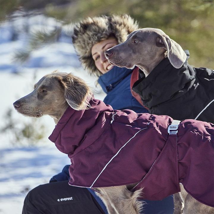 Actual product image Hurtta Extreme Warmer V3 Eco Black, 35 cm (35, Dog coat)