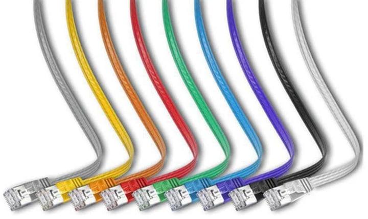 Productafbeelding Wirewin Netwerkkabel (STP, CAT6, 0.75 m)