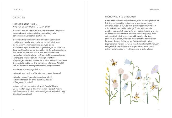 Image du produit The Happiness Year (Allemand, Tara Ward, 2024)