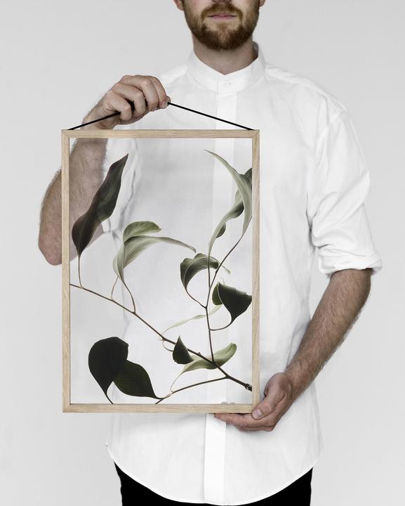 Actual product image Moebe Frame (59 x 42 cm)