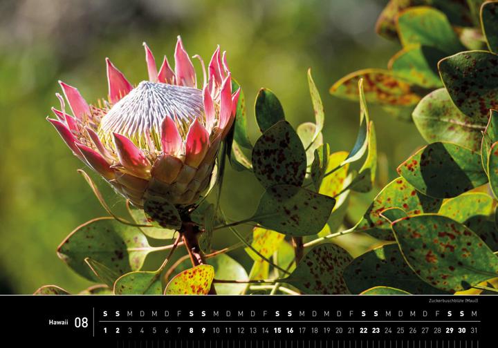 Image du produit Hawaii Premiumkalender 2026 (50 x 35 cm, Allemand)