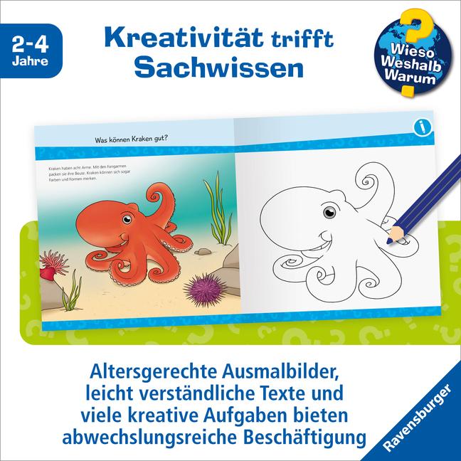 Image du produit Ravensburger Wieso? Weshalb? Warum? junior AKTIV: Am Meer (Allemand, Yousun Koh, 2023)